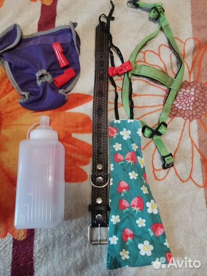 Товары для животных