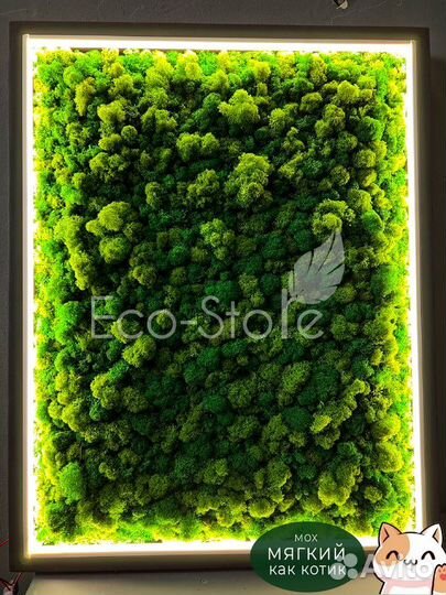 Панно со мхом для бизнеса