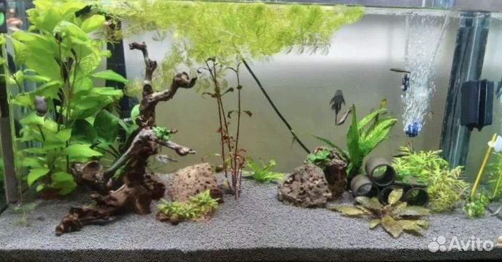 Аквариум 112л