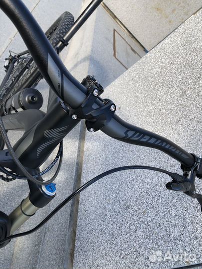 Specialized Stumpjumper Evo 29