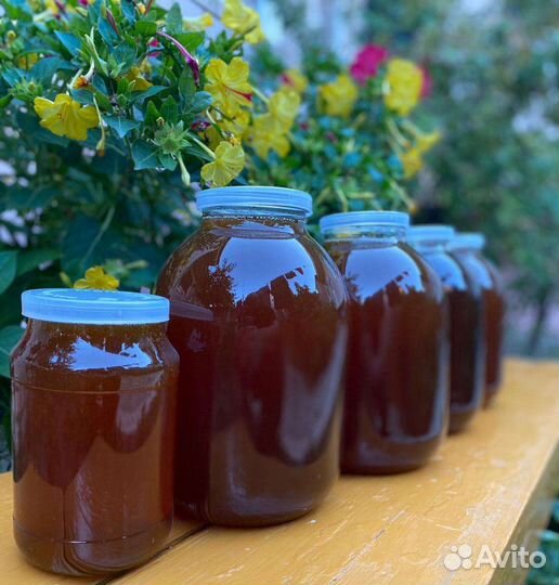 Мед, мёд в сотах