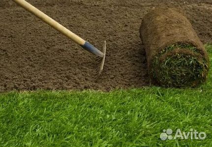 Газон от производителя