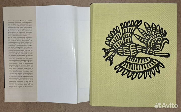 Родригез. Человека в огне. Мексиканские рисунки