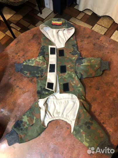 Костюм и куртка для маленькой собаки