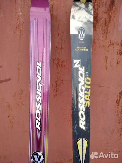 Горные лыжи