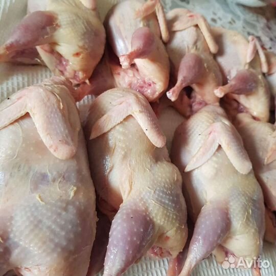 Перепелиное мясо