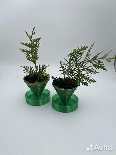 Черенкование, кашпо для разведения