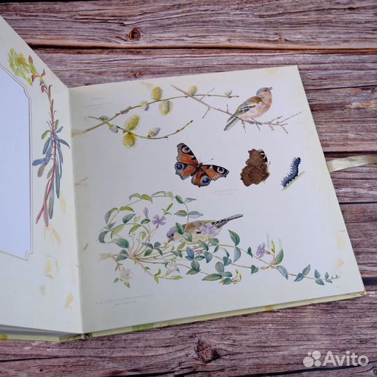 Дневник Эдвардианской Леди фотоальбом