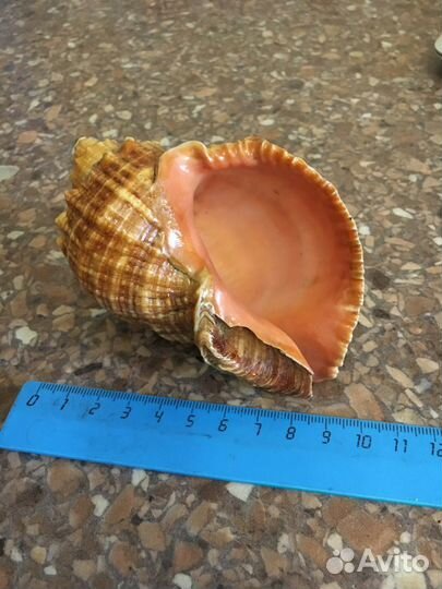 Грунт и декор для аквариума