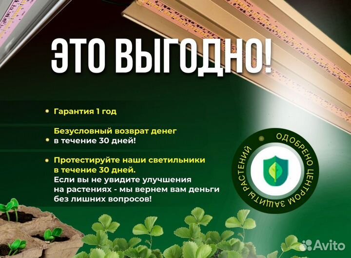 Лампа инженера Колчанова специально для цитрусовых