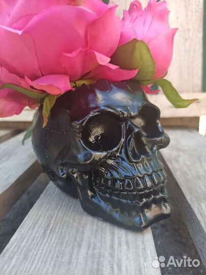 Череп. Искусственные деревья и цветы. Кашпо