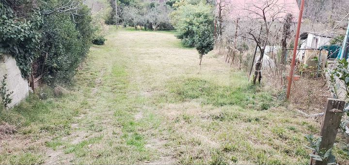 Участок 25 сот. (ИЖС)