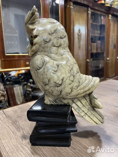 Мраморная сова