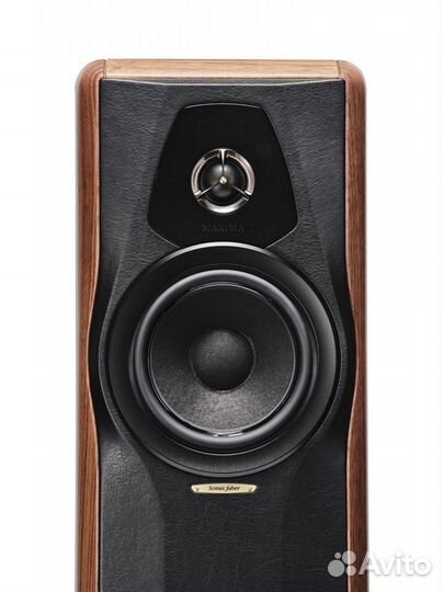 Sonus faber amator maxima