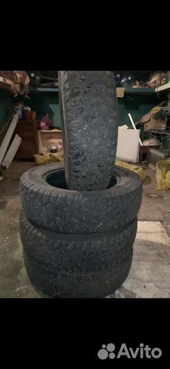 Matador MP 51 Sibir 2 195/65 R15