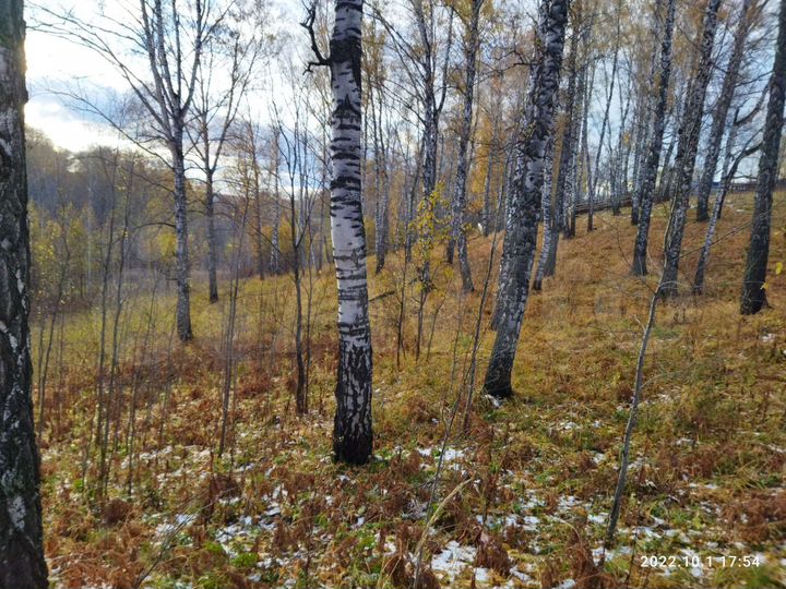 Участок 9 сот. (ИЖС)