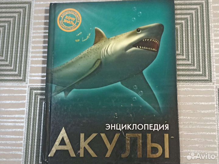 Энциклопедия акулы