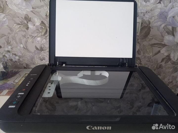 Принтер Canon Pixma MG25405