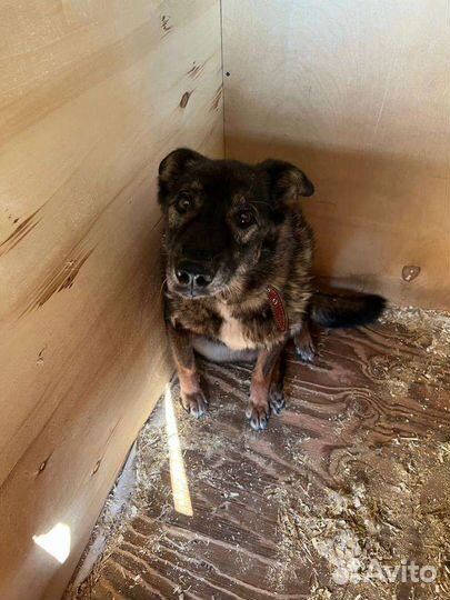 Я потерял все зубы