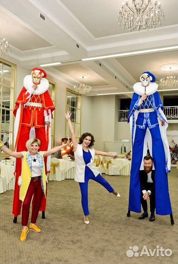 Пошив сценического образа, реквизита для аниматоро