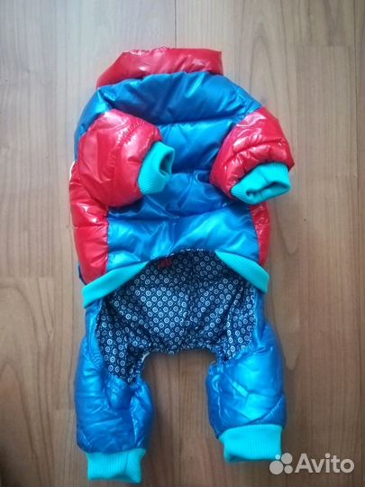 Костюм для собаки