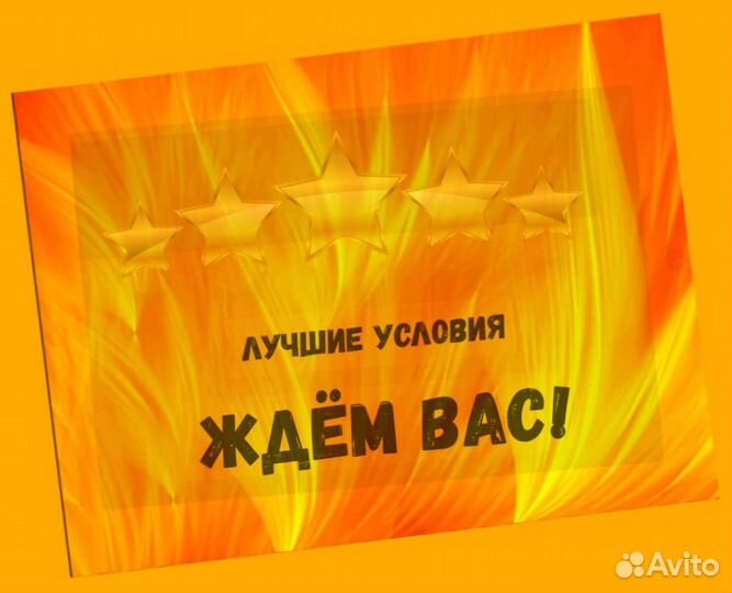 Этикеровщик без опыта Хорошие условия+Спецодежда