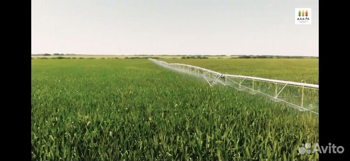 Продаем сельскохозяйственное предприятие