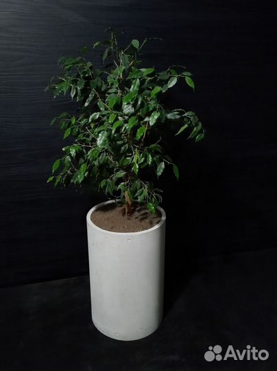 Вазоны, Горшки, Кашпо под заказ из бетона