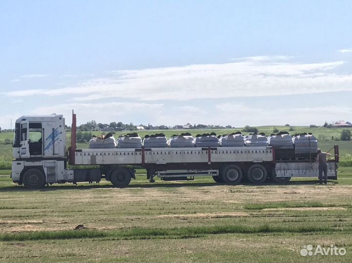 Рулонный газон в спб и ло (продажа/укладка)