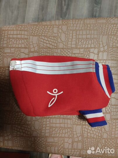 Худи для чихуахуа