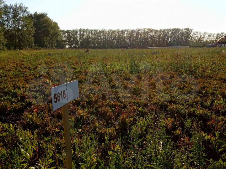 Участок 7 сот. (ИЖС)