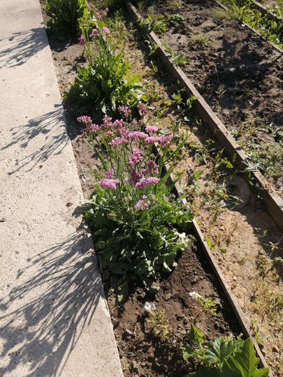 Дача 109,7 м² на участке 4,3 сот.