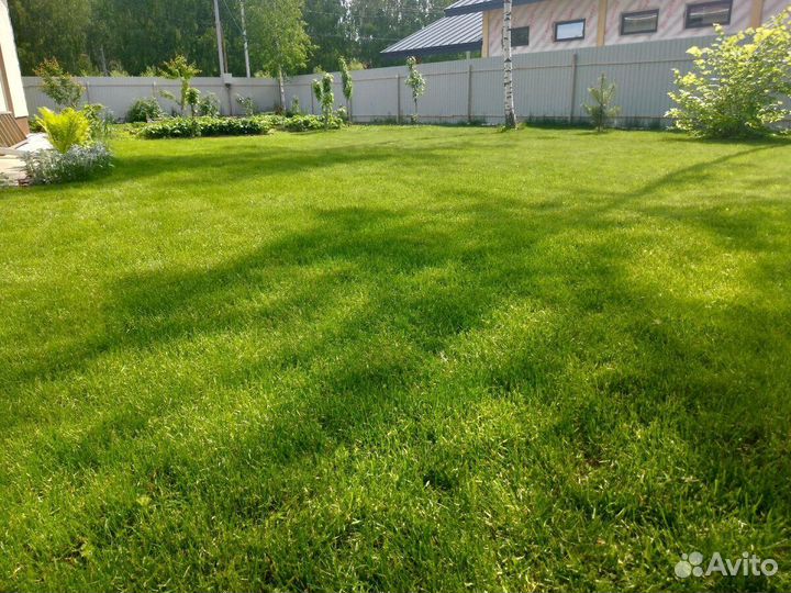 Озеленение участка. Посев газона