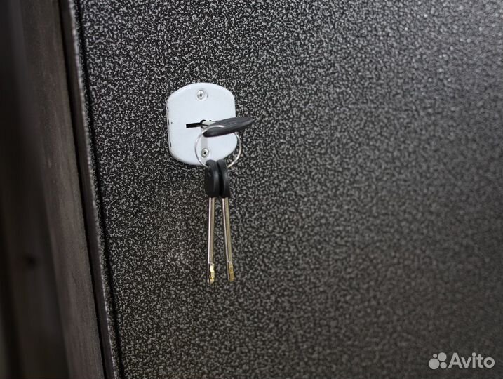 Дверь входная металлическая