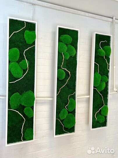 Панно со стабилизированным мхом