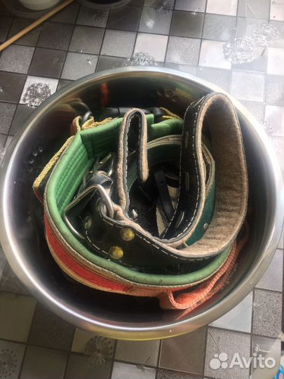 Ошейники, намордник, миска