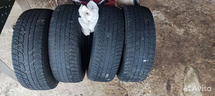 Nexen Winguard Ice 195/65 R15