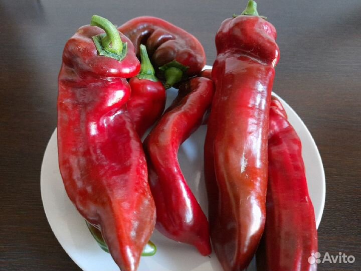 Семена сладкого перца