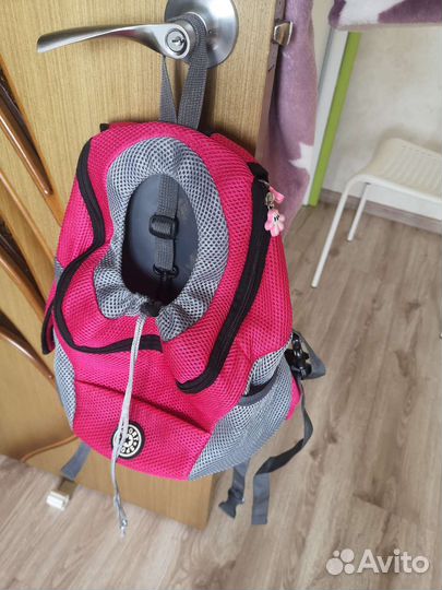 Рюкзак для собаки