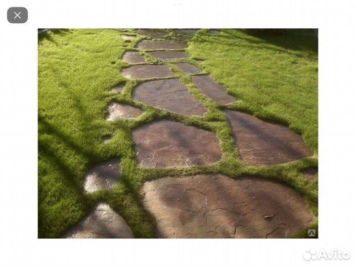 Требуется ассистент/помощница руководителя