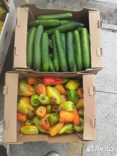 Корма для животных: Хлеб,овощи-фрукты, молочка итп