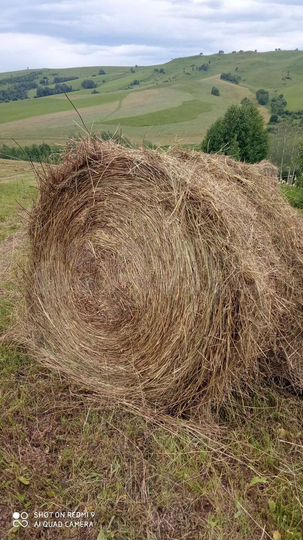 Участок 100 сот. (СНТ, ДНП)