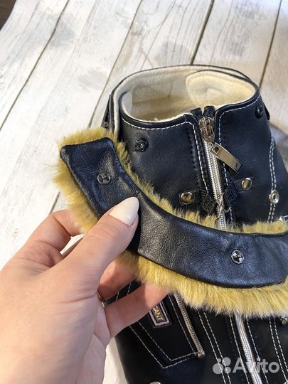 Одежда для собак