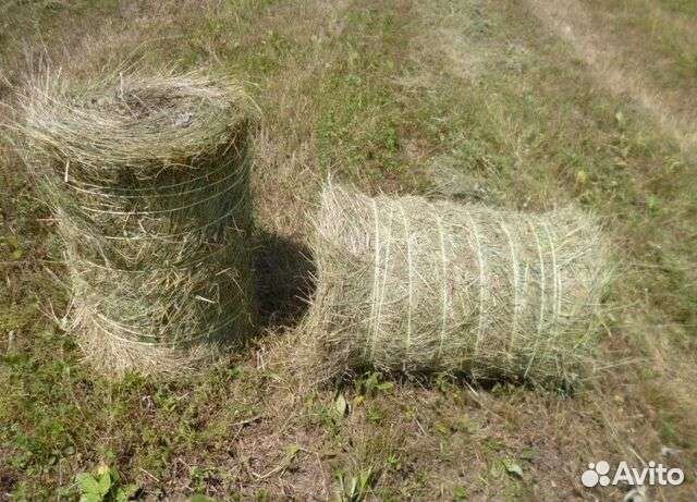 Сено луговое