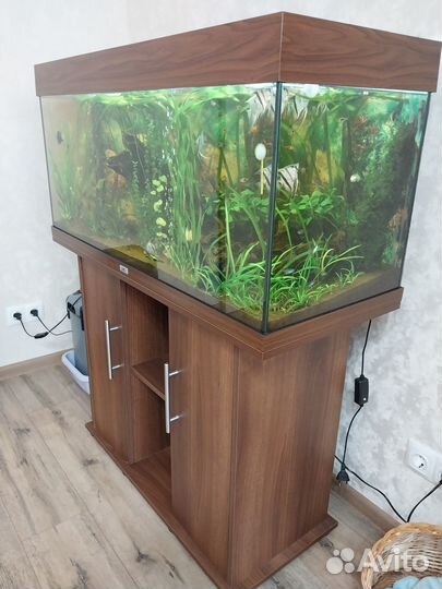 Аквариум с тумбой внешним фильтром и содержимым