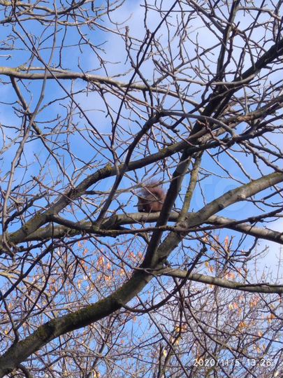 Дача 20 м² на участке 6 сот.