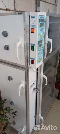 Инкубатор для яиц рэмил