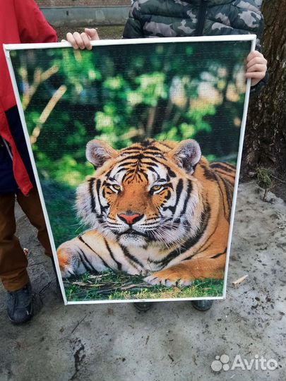 Картина тигр