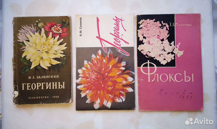 Книги Лилии Георгины Флоксы Тюльпаны Нарциссы