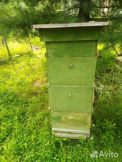 Улей для пчел